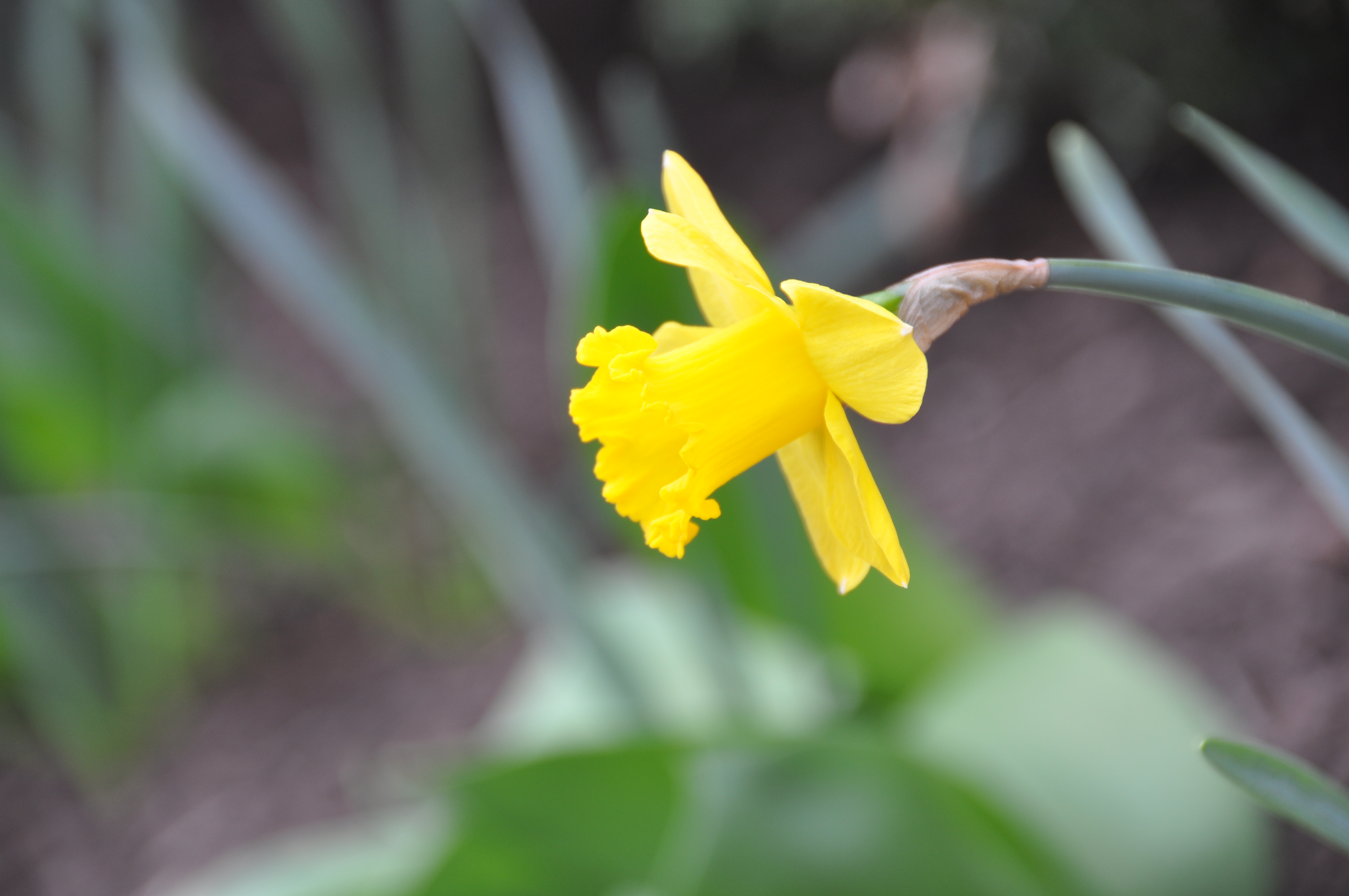 DSC_0214.JPG DSC_0214.JPG